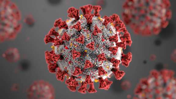آزمایش HPV